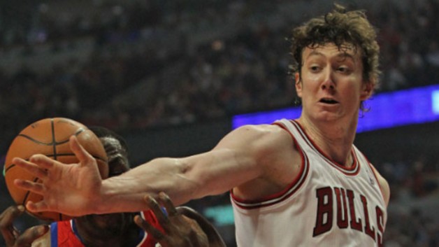 omer-asik-bulls